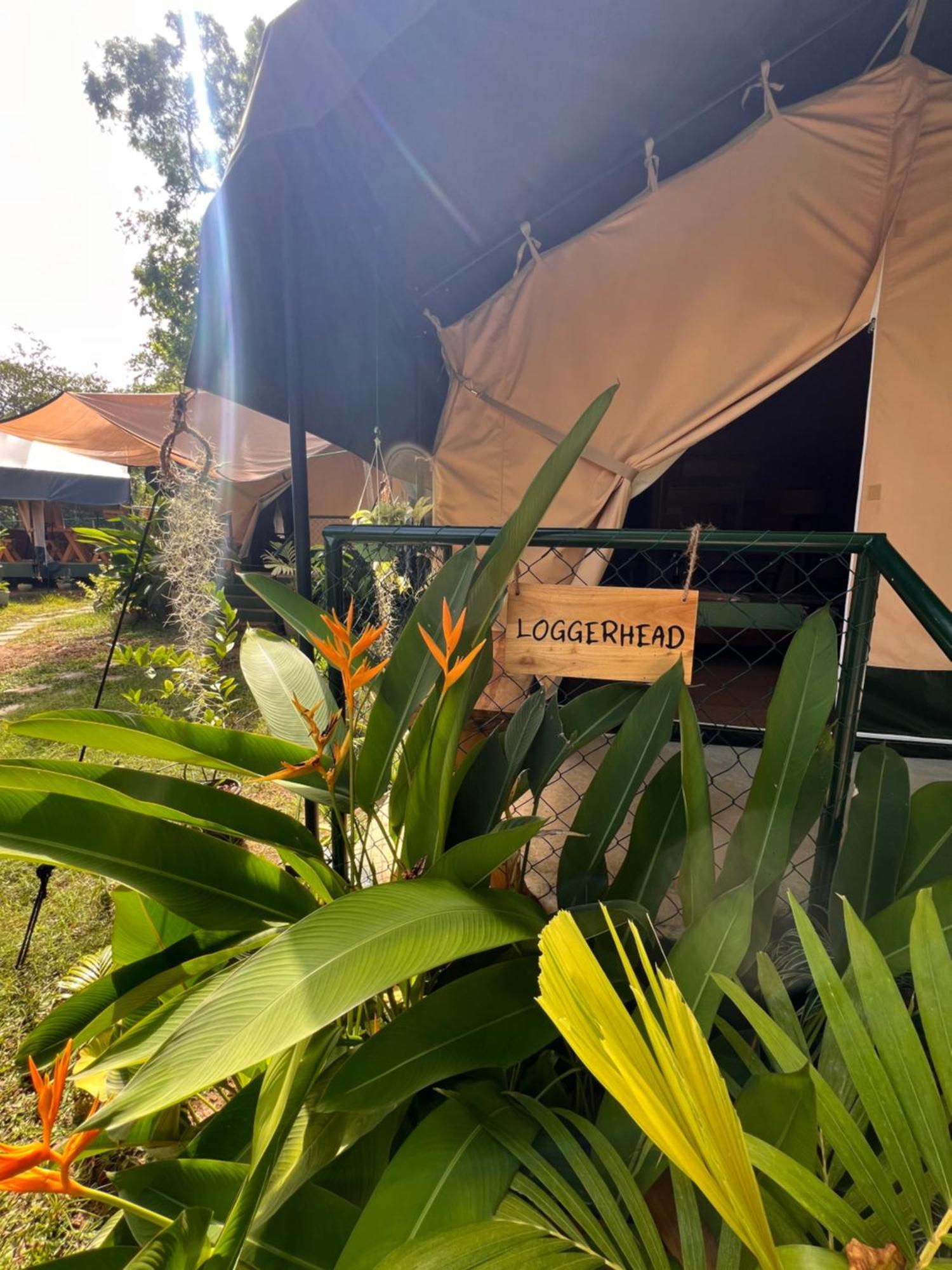 At One - Glamping Hotel Rekawa Bagian luar foto